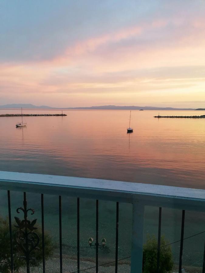 Villa Evmenia Panoramic View & Sea Front Apartments Città di Skopelos Esterno foto