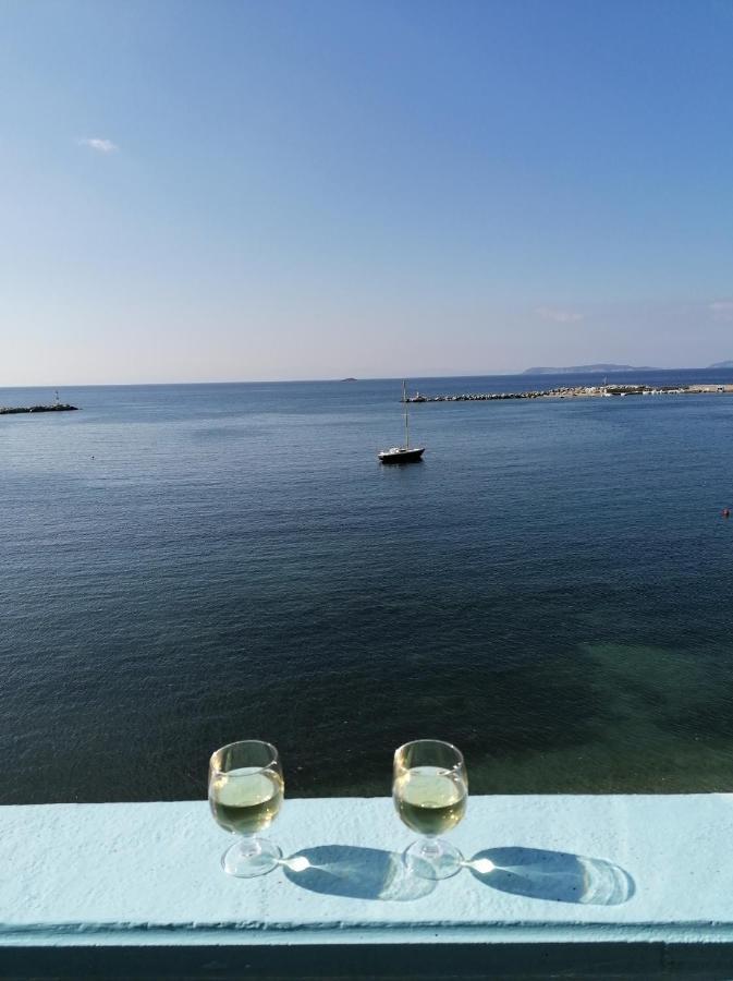 Villa Evmenia Panoramic View & Sea Front Apartments Città di Skopelos Esterno foto