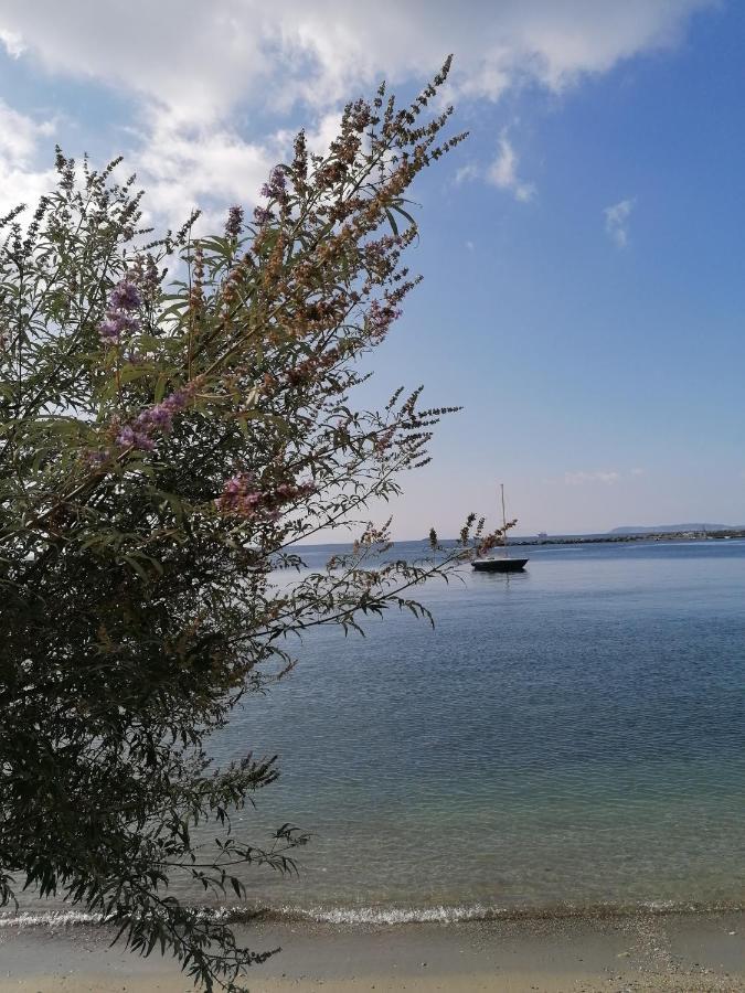 Villa Evmenia Panoramic View & Sea Front Apartments Città di Skopelos Esterno foto